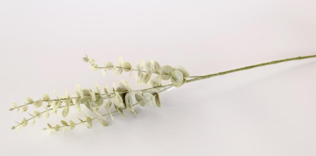 Eucalyptus 5 Stem Bunch